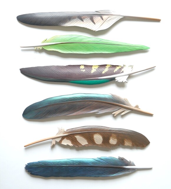 claire jensen six feathers native bird feather art